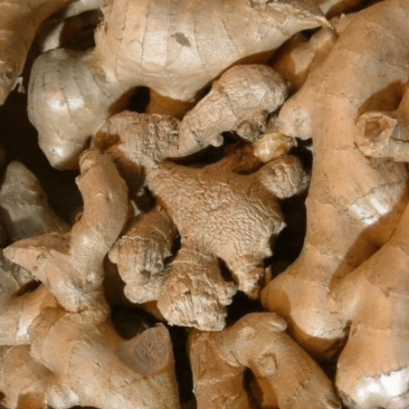 Ginger