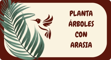 Proyecto de Reforestación Arasia